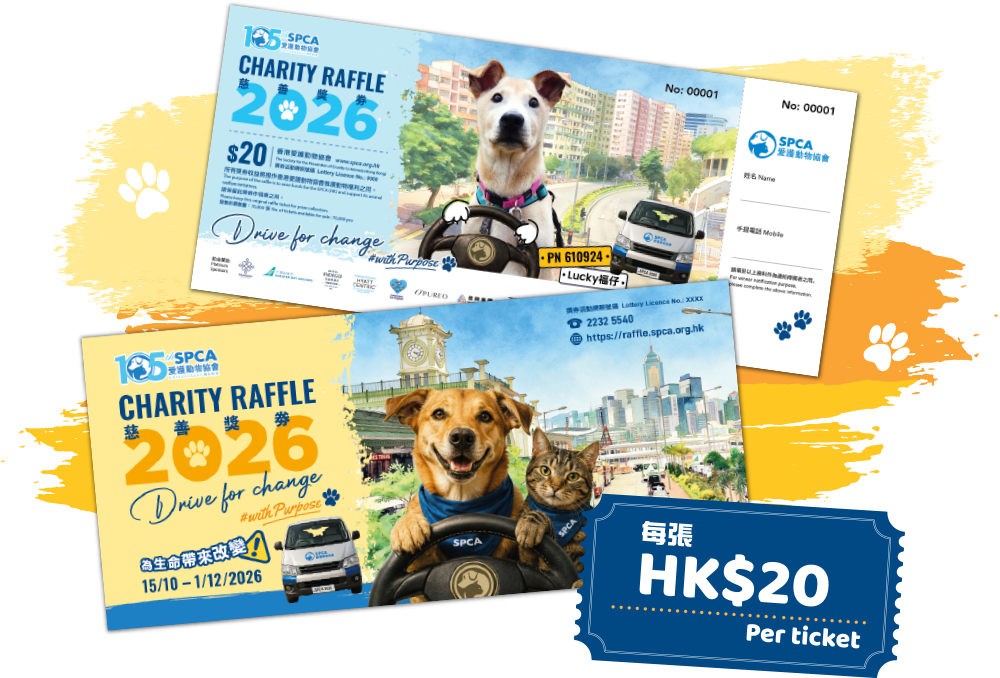 SPCA Charity Raffle 2026